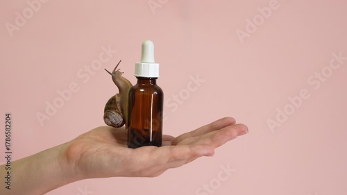 Video. Cosmetic bottle with snail on it in hand. Spa, naturale, luxury, cosmetics product, jar of anti-aging cream