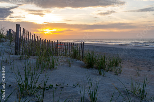 Morning Beach Scene with Sand Fence 
