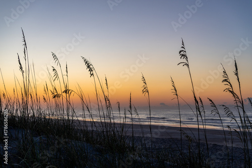 Beach View Through Tall Beach Grass during Twilight