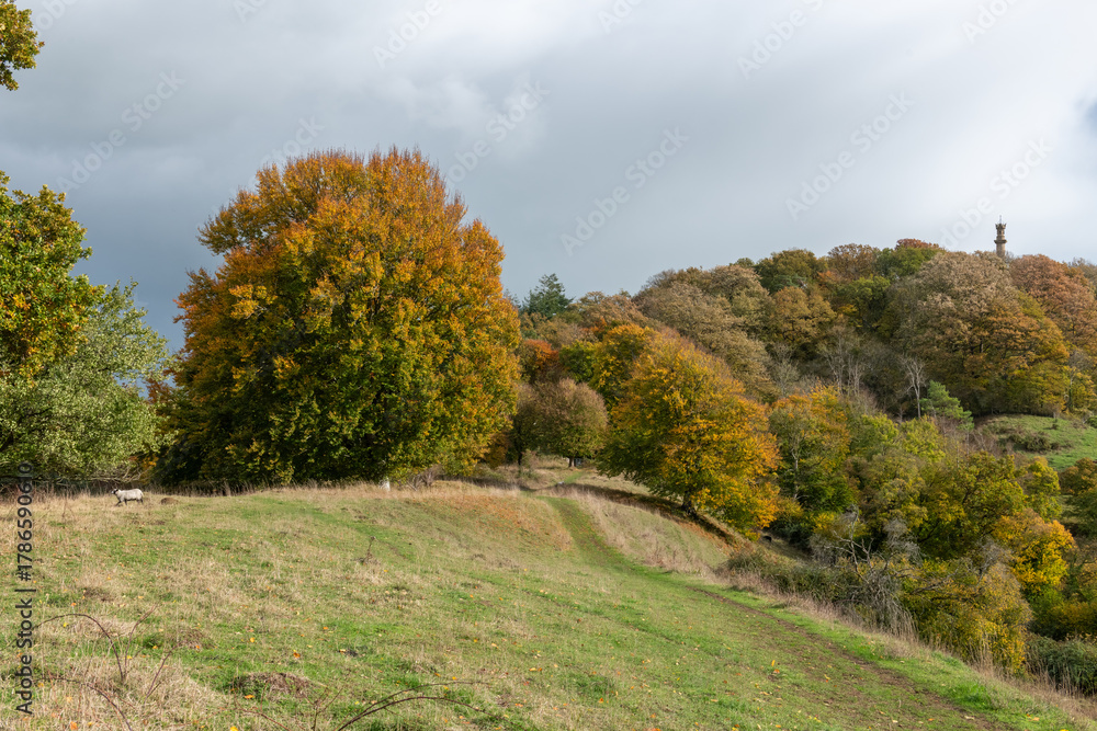 Fototapeta premium Landscape photo of the autumn colours at Admiral Hood Monument overlooking the village of Compton Dundon in somerset