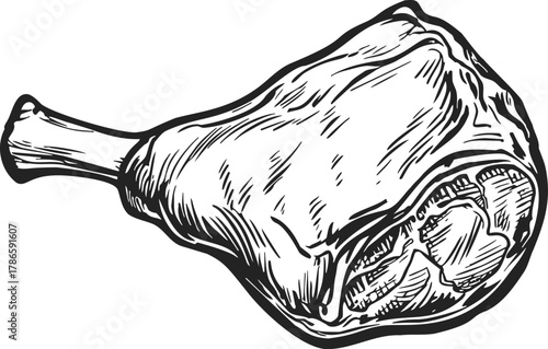 Meat leg sketch, hand drawn style with detailed bone and texture — stock vector
