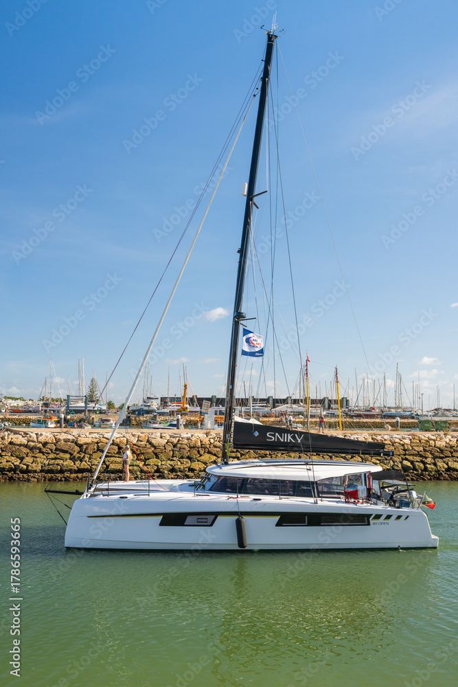 Fototapeta premium Sniky catamaran close-up near harbor wall