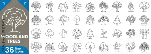 Woodland trees outline icons set. Forest, nature, leaves, pine, oak, spruce, redwood, and botanical silhouette symbols collection. Vector illustration.