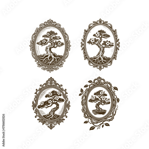 Set of four beautiful vintage engraving style illustrations featuring an elegant flowering Bonsai tree, framed within various elaborate ornamental oval borders