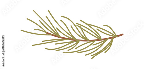 Flat green pine branch birthday decor in a rustic kraft style. Hand drawn plant element with nature and gift motif for box and holiday graphic, perfect for eco designs.