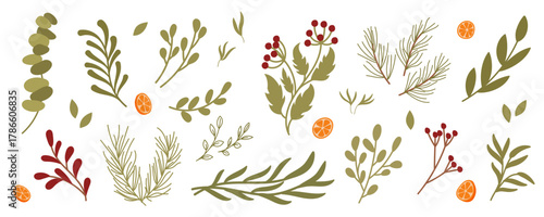 Kraft holiday flat plant branch and floral berry decor. Collection of green pine and fir with new years elements as festive decor. Modern holiday gift box theme for seasonal event.