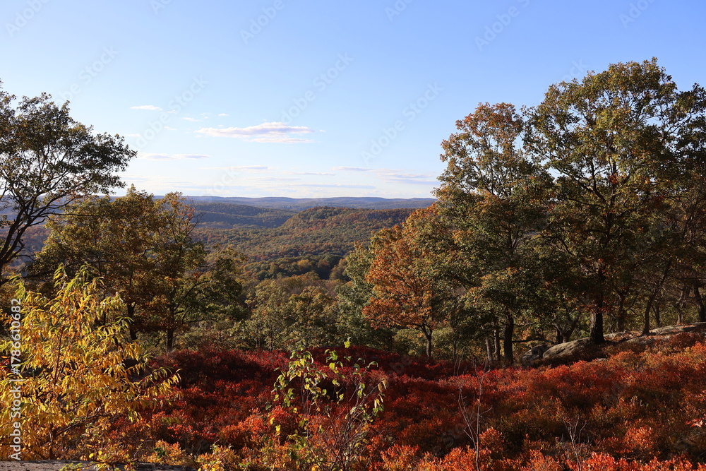 Fototapeta premium Beautiful panoramic landscape view of lush fall foliage and vibrant colors from a mountain top overlooking other mountains and valleys.