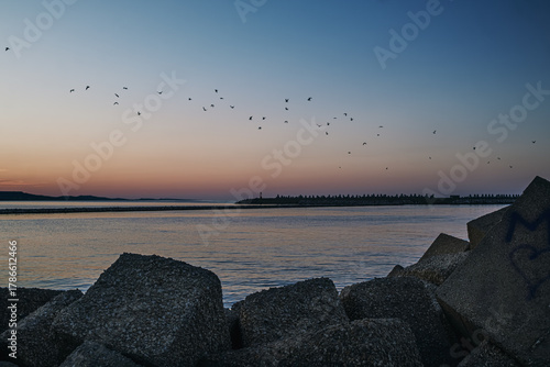 Seabirds flying over Adriatic Sea at Pescara sunset.
