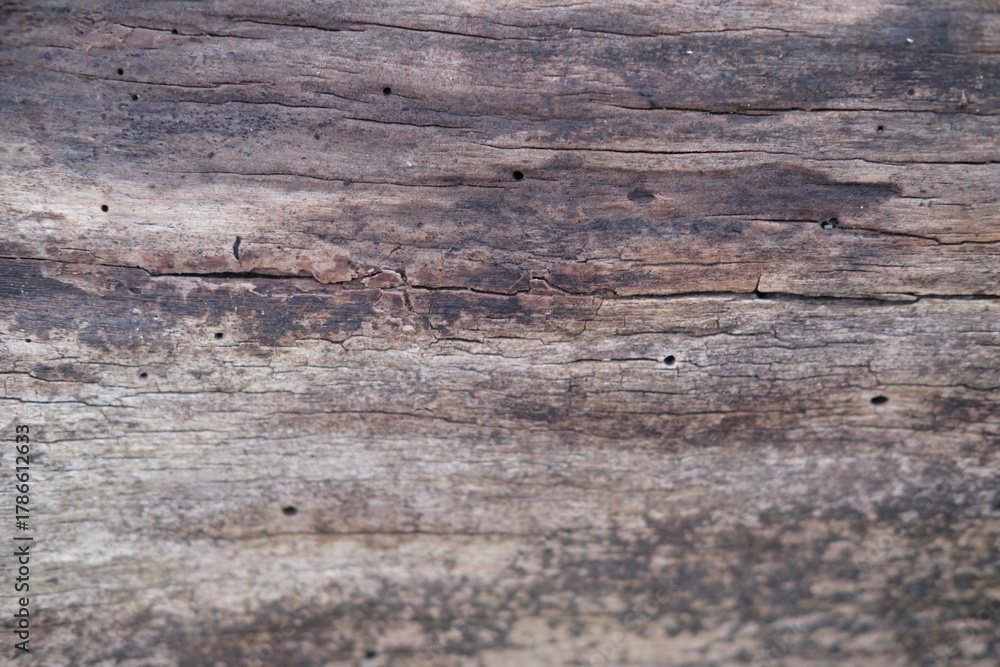 Naklejka premium brown wood texture, dark wooden abstract background 