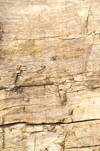 brown wood texture, dark wooden abstract background