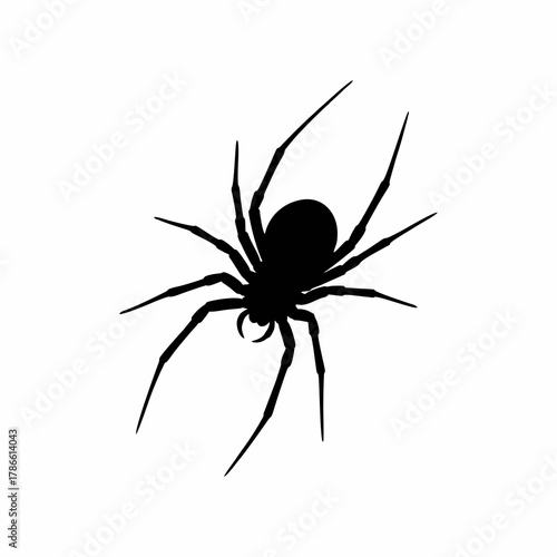 black spider vector isolated on white background
