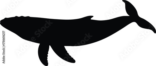 Black silhouette of a humpback whale swimming isolated on white background