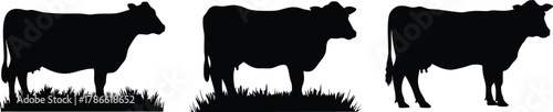 Three black cow silhouettes standing in grass isolated on white background