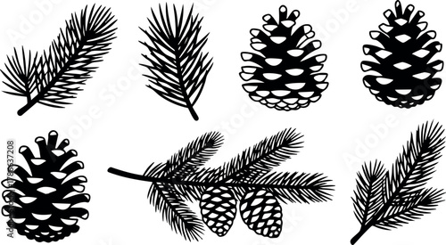 Pine cones and pine tree branches vector illustration in black and white natural style 