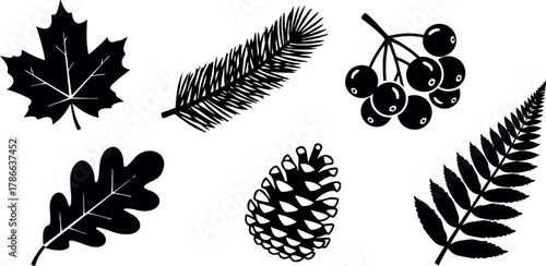 Collection of black silhouette autumn leaves and pine cone vector illustration 
