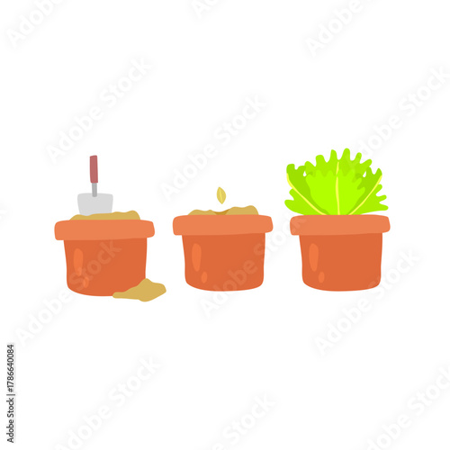 Lettuce Growth Stages in Terracotta Pots – From Soil Prep to Full Leafy Plant on White Background