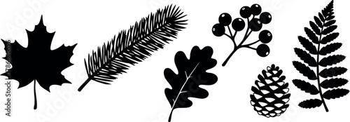 Silhouettes of Various Tree Leaves and Pine Cone Vector Illustration with Seasonal Nature Theme 