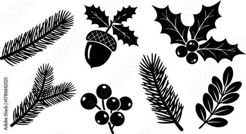 Pine branches holly leaves acorn and berries black silhouette vector illustration simple design 