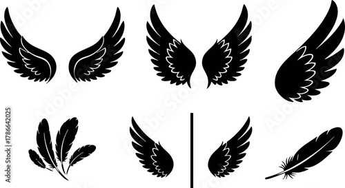 Black silhouette bird wings vector set with various feather shapes and styles 