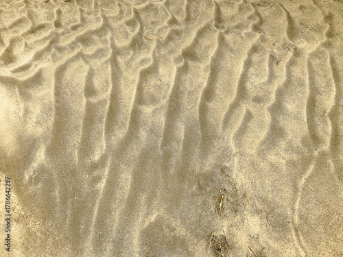 Golden sand with natural wavy patterns and subtle textures creates a peaceful background perfect for beach themes relaxation travel or design projects with a warm earthy tone