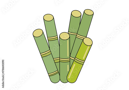 Sugarcane stalks arranged in a bunch on white background  