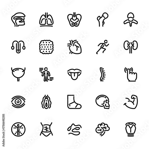 25 set of outline web anatomy icons such as lungs,  , bladder, vision, proportions vector thin icons for report, presentation, diagram, web design, mobile app