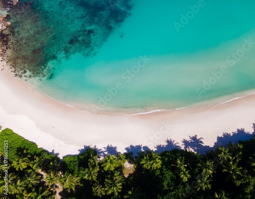 tropical beach views with clear blue sea water, clean white sand, and rows of lush green coconut trees on the beach.