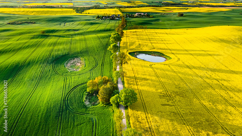 Green and yellow fields at ...