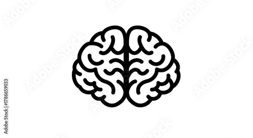 A minimalist vector illustration of a human brain with clear anatomical details, perfect for medical and scientific concepts.