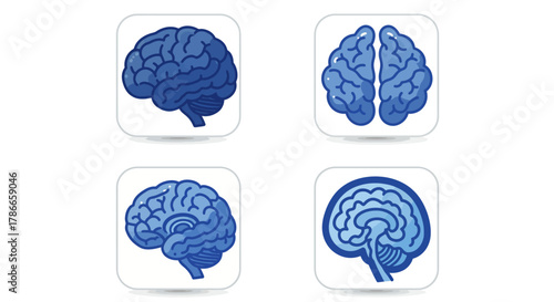 Set of four blue brain icons in different views, representing medical science, neurology, and cognitive functions in a clean, vector graphic style.