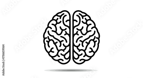 A minimalist black outline vector illustration depicting the human brain, symbolizing thought, intelligence, and scientific exploration on a clean white background.
