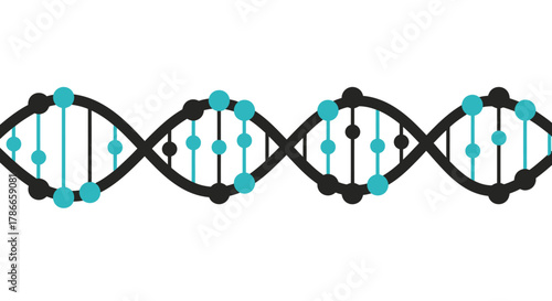 Detailed vector illustration of a DNA strand, showcasing its double helix structure and genetic information, ideal for medical or scientific applications and presentations.