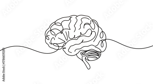 A minimalist continuous line drawing illustrates the complex human brain, symbolizing intelligence, thought, and scientific understanding in a clean vector graphic.