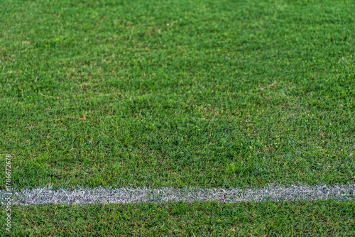 Line of the Game. White color line, paint.