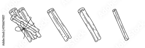 Hand drawn cinnamon sticks. Outline isolated vector elements