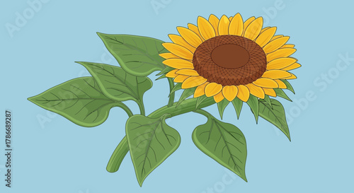 Vibrant sunflower illustration against soft blue backdrop showcasing botany