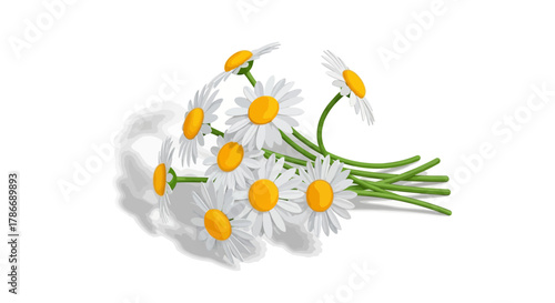 Charming Daisy Bouquet Illustration for Springtime and Floral Designs