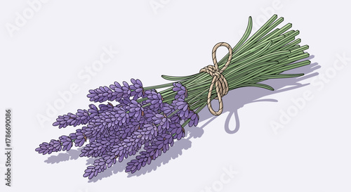 Elegant hand-drawn lavender bouquet, a tranquil illustration of nature's beauty