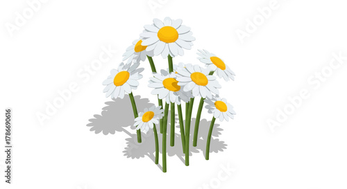 Isolated bouquet of daisies illustration with green stems on white background