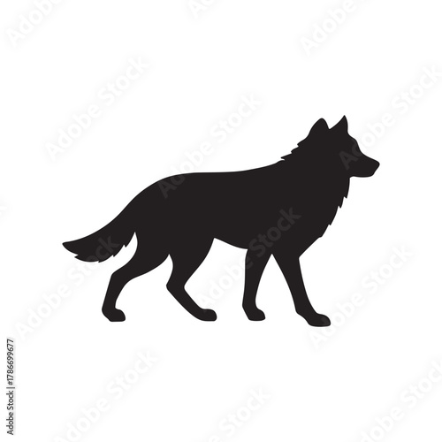 Silhouette of a lone wolf walking across a white background showing strength and resilience in the wild wilderness animal vector image