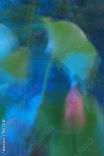 Echo of Light II（光の残響 II）

Abstract photo of green leaves and soft pink light blending in blue tones, creating a tranquil and dreamlike atmosphere — the second piece of the “Echo of Light” series.
青と緑