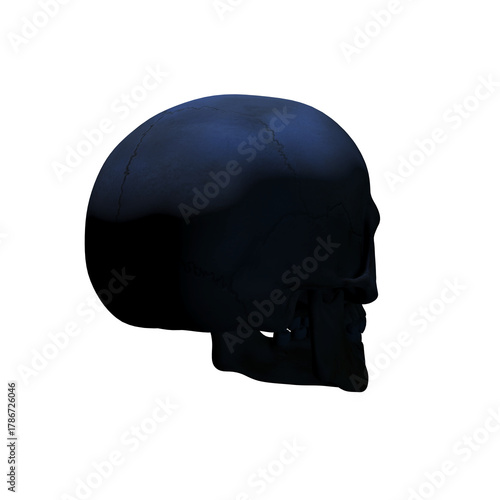 human skull, transparent background, 300 dpi