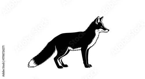 Black and white illustration of a standing fox with a bushy tail isolated on white background
