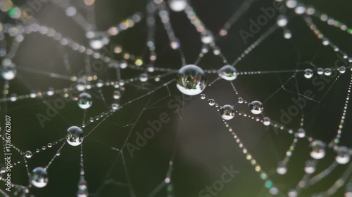 Macro view of a spider web covered with water droplets, reflecting light and creating rainbow effects against a blurred green backdrop