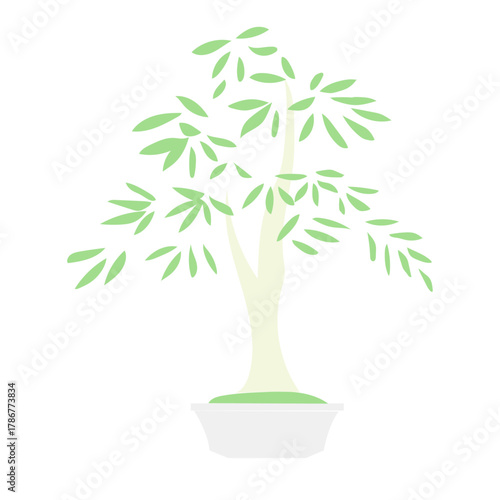 落ち着いた雰囲気の室内を彩るパキラの鉢植えを描いたイラスト｜ナチュラルで清潔感のあるグリーンインテリアを表現したベクターデザイン