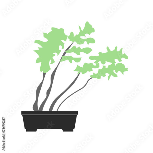 静けさと日本の伝統美を感じるイチョウの盆栽を描いたイラスト｜黒い鉢に映えるシンプルでモダンな和のデザイン