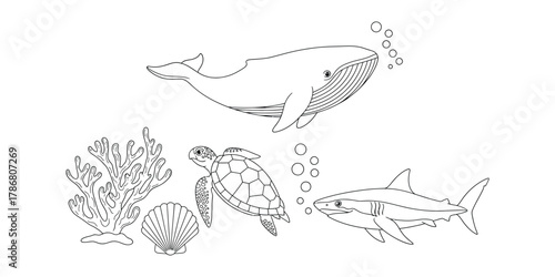 Black and white line drawing of a whale shark sea turtle coral and seashell