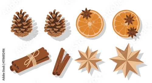 Christmas Decoration Elements Pine Cones, Oranges, Cinnamon Sticks and Star Anise