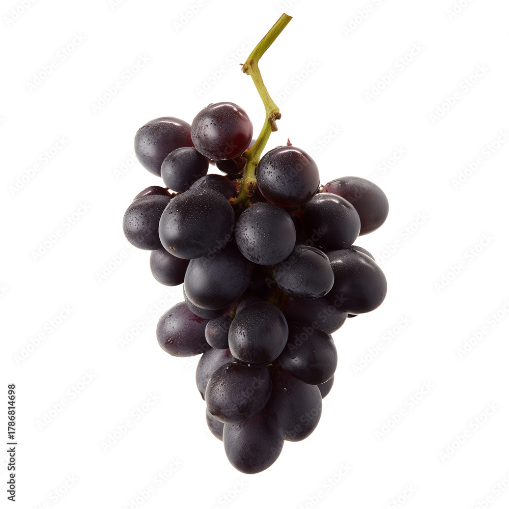Fototapeta premium Close-up of dark purple grapes with green stem on transparent background