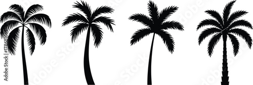 Palm tree icons, tropical silhouette set, black graphic design, beach foliage shapes, exotic plant symbols, landscape illustration elements